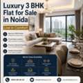 Luxury 3 BHK Flat For Sale In Noida Live In Comfort