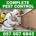 ✅✅ LOW COST COCKROACH CONTROL & HOME PEST TREATMENT JEDDAH – 057 007 6842 ✅✅