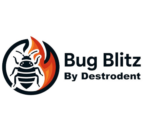 London, Pest Control, Rapid Chemical Free Bed Bug Control For Surrey Homes