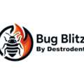Rapid Chemical Free Bed Bug Control For Surrey Homes