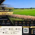 THB 34400000,  6 BR,  14500 Sq. Feet,  Large Plot Of Land For Sale, 36 Rai 1 Ngan, Khlong Sam - Khlong An, Khlong Sam