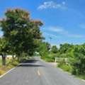 THB 2500000,  6 BR,  800 Sq. Feet,  Beautiful Land For Sale Next To The Road, Good Location, Good To Live In And Do Business