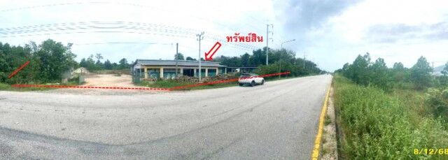 Bangkok, Real Estate For Sale, THB 14795000,  6 BR,  5734 Sq. Feet,  First Floor Warehouse For Sale In Narathiwat, Kaluwo Subdistrict, Mueang Narathiwat