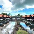 THB 285000000,  6 BR,  7575 Sq. Feet,  Surat Thani Office Building For Sale And Other Buildings, A Total Of 27 Items, Koh Samui