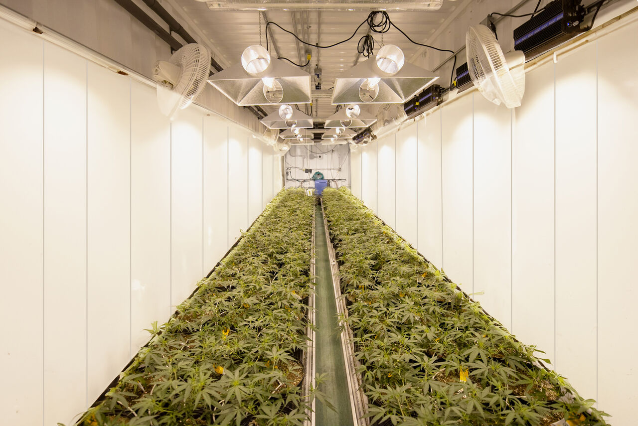 New York, Real Estate, Build Grow Room Walls That Stay Clean And Productive