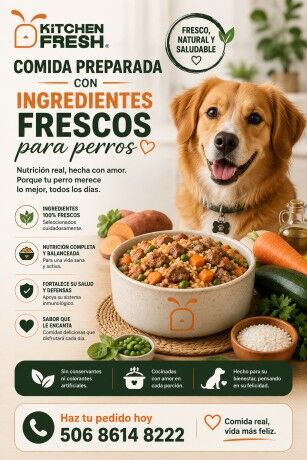 San José, Pet Sitting, Comida Preparada Con Ingredientes Frescos Para Perros