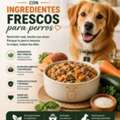Comida Preparada Con Ingredientes Frescos Para Perros