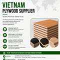 Vietnam Plywood Supplier