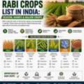 INR 25,  Rabi Crops List In India: Season, Names & Major Crops