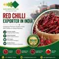 Bulk Red Chilli Supplier India -- GLEE IMPEX