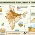 INR 25,  Wheat Production In India: States, Trends & Top Producers