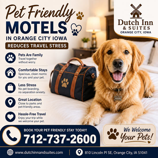 New York, Business, Ways A Pet Friendly Motels In Orange City Iowa Reduces Travel Stress