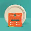INR 399,  9 Inch Round Disposable Bagasse Plates
