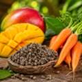 EUR 4500, Mangue Carotte Zamal – Une Variété Authentique À Découvrir