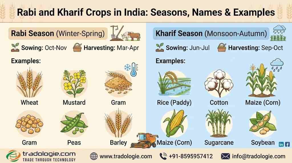 Lucknow, Food, INR 25,  Rabi And Kharif Crops In India: Seasons, Names & Examples