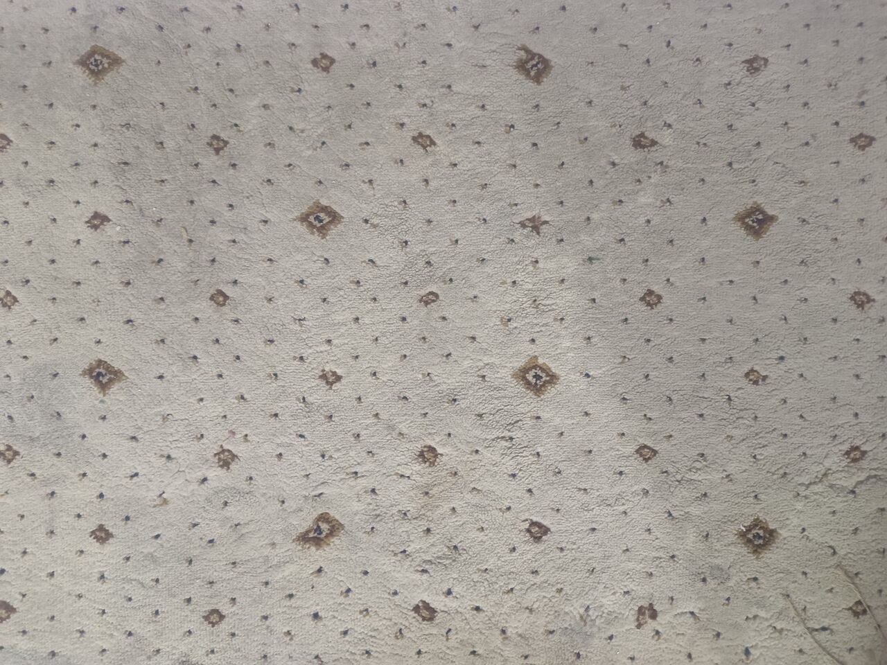 Jubail, Household Items, SAR 55,  2 Carpet High Quality. 12 *12 Feet And 6 * 5