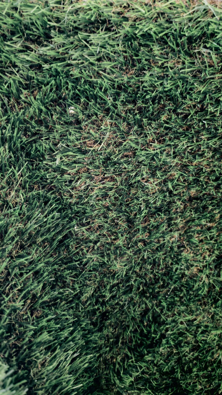 Dammam, Farm & Garden, SAR 275,  Artificial Grass Carpet-Unused For Sale