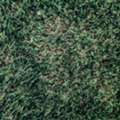 SAR 275,  Artificial Grass Carpet-Unused For Sale