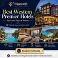 Best Western Premier Hotels: Top Luxury Stays & Resorts | Tripnestify