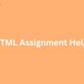 What Are The Benefits Of Professional HTML Assignment Help?