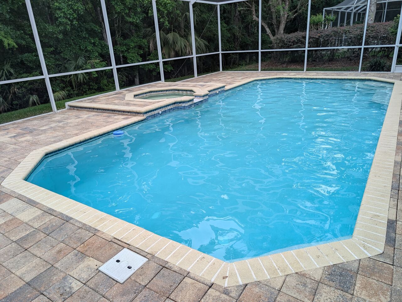 Tampa Bay, Cleaning, Neptune Reliable Pool Services