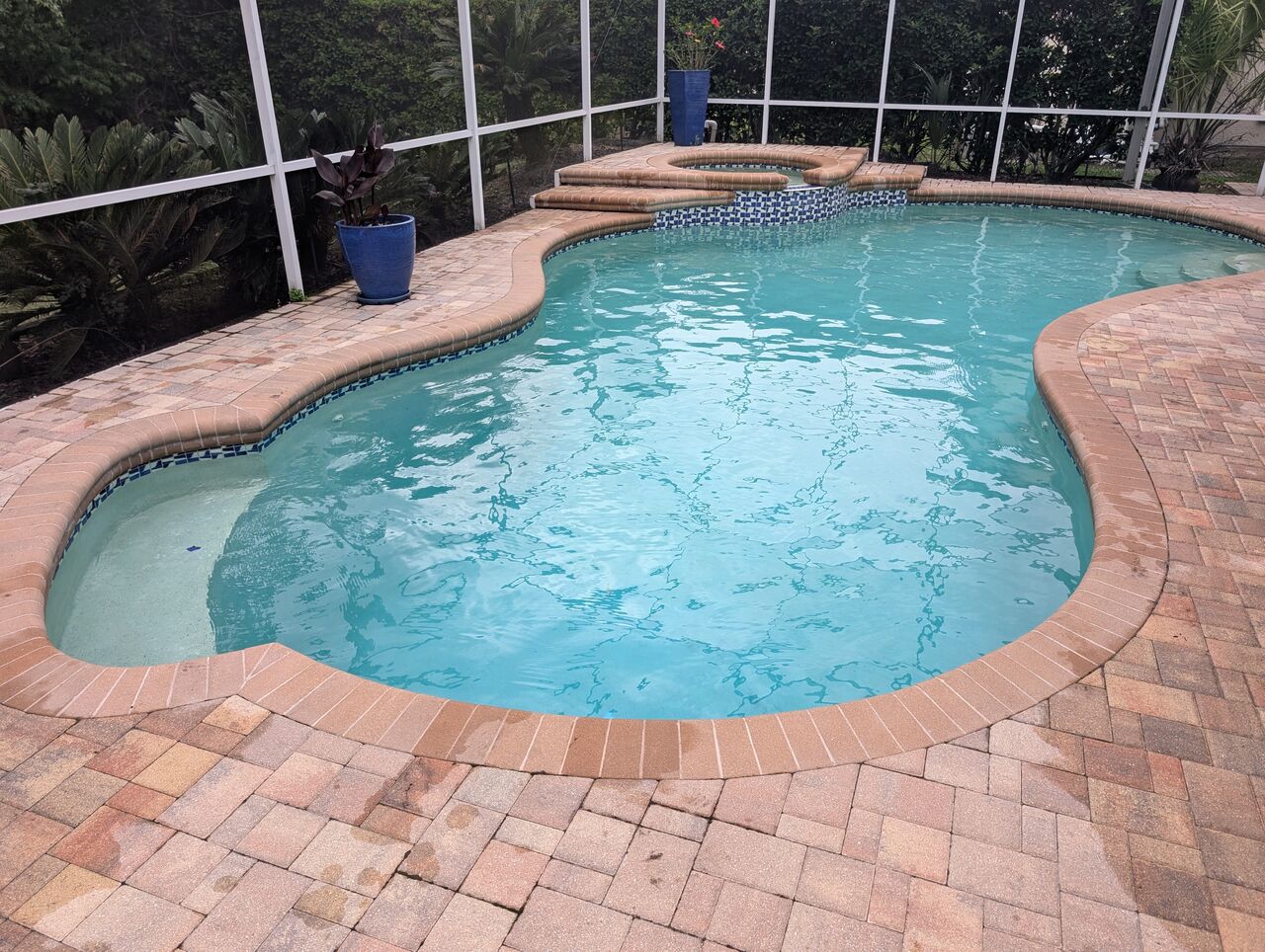 Tampa Bay, Cleaning, Neptune Reliable Pool Services