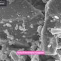How To Select The Right Solid Electrolyte Supplier?
