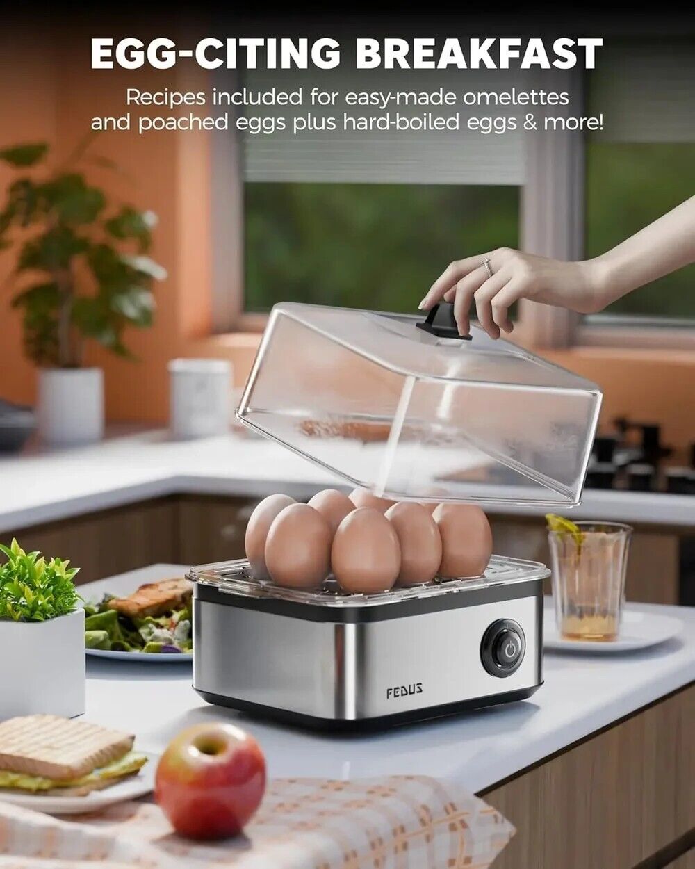 New Delhi, Electronics, INR 1499,  FEDUS EGGLINE Automatic 8 Egg Boiler Steamer