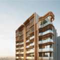 The Oryza