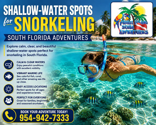 New York, Travel, Shallow-Water Spots For Snorkeling South Florida Adventures