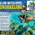 Shallow-Water Spots For Snorkeling South Florida Adventures
