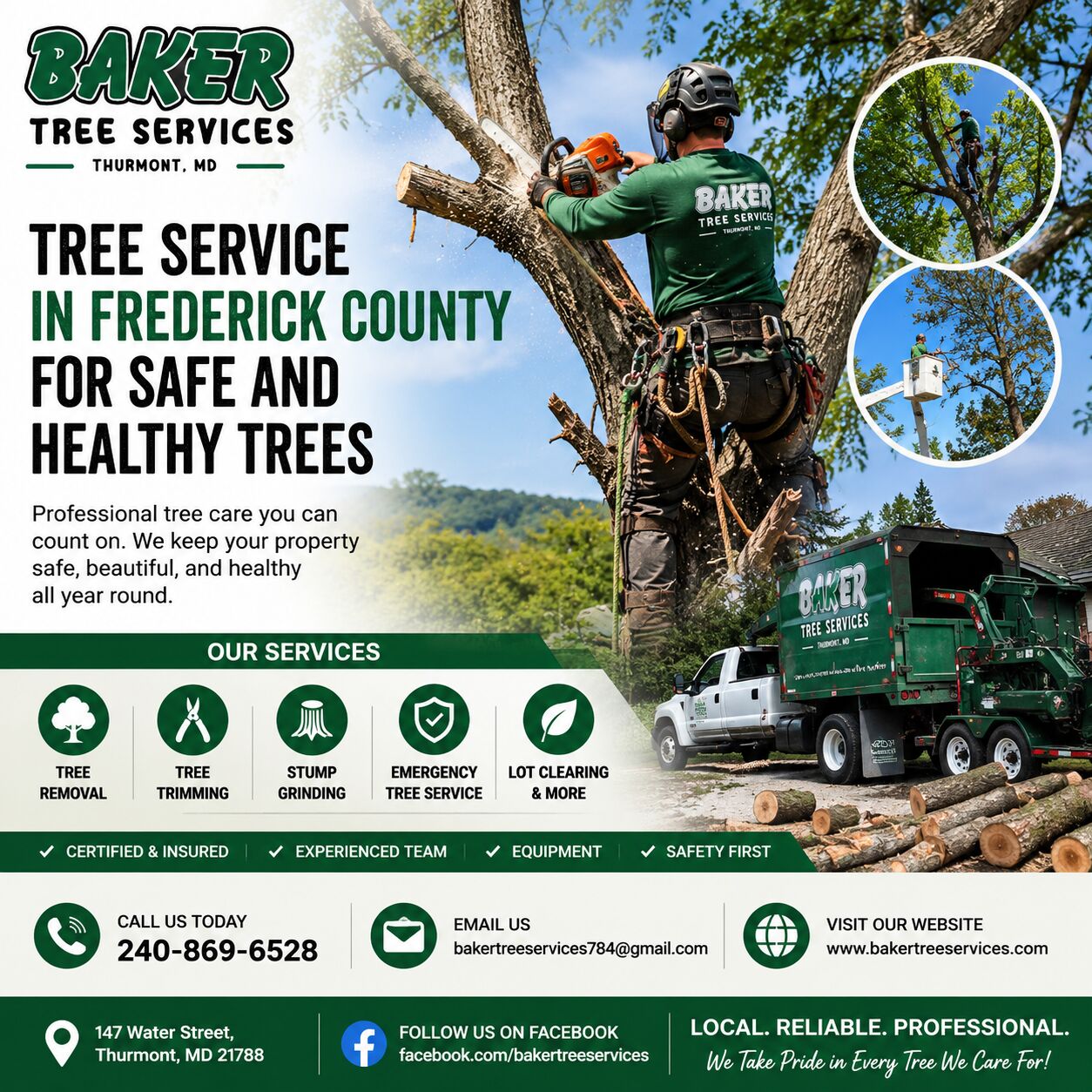 Boston, Business, Tree Service Maryland For Tree Trimming, Pruning, And Removal Services