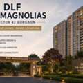 DLF The Magnolias Sector 42 Gurgaon &ndash; Luxury Residences