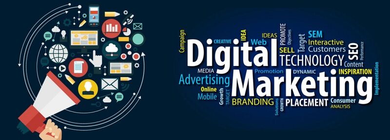 Noida, Business, Best Digital Marketing In Noida For Business Growth