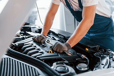 Auckland, Businesses For Sale, Choose The Best North Shore Auto Clinic For Trusted Mechanics North Shore