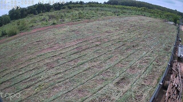 Bangkok, Real Estate For Sale, THB 900000,  6 BR,  5974 Sq. Feet,  Land For Sale In Kabin Buri District. Prachinburi Province, 2 Adjacent Plots, Total Area