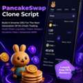 Launch Your Own DEX With PancakeSwap Clone Script