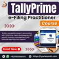 Learn TallyPrime E-Filing &ndash; Professional Accounting Course