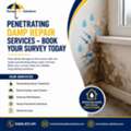 Penetrating Damp Survey & Repair &ndash; Get Expert Help
