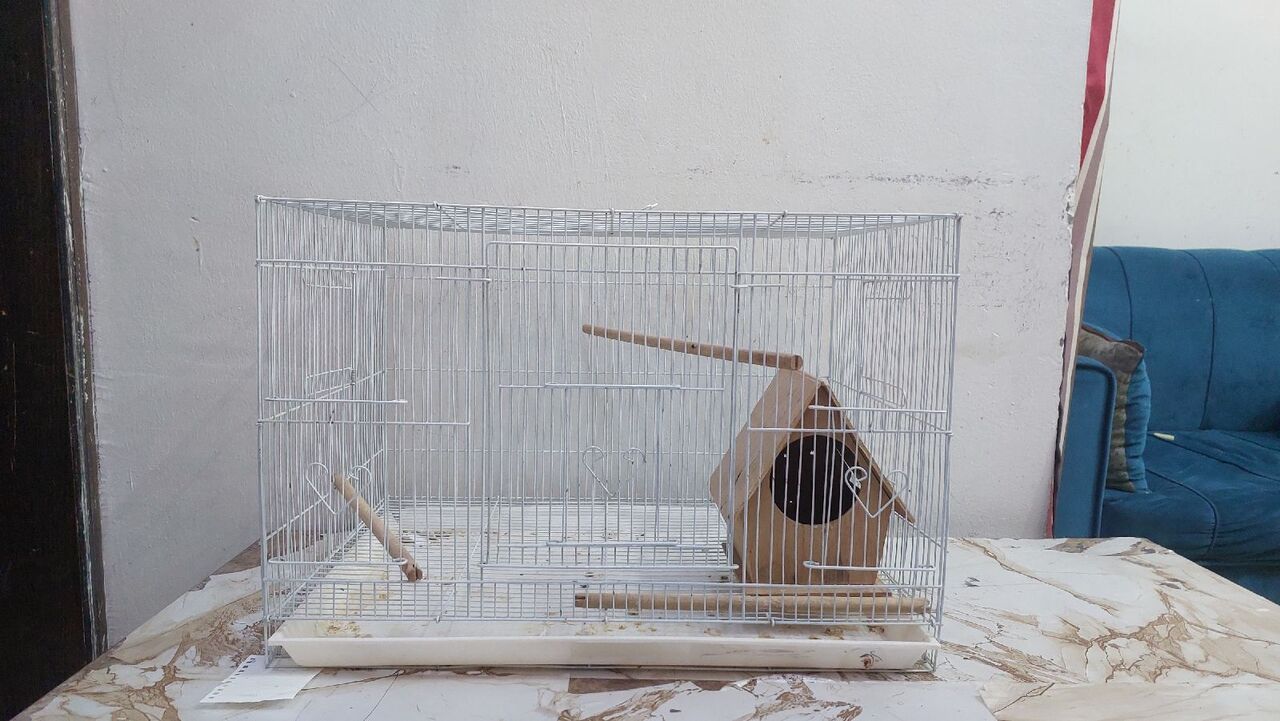 Al Badiyah, Pet Supplies, SAR 100,  USED BIRD CAGE