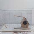 SAR 100,  USED BIRD CAGE