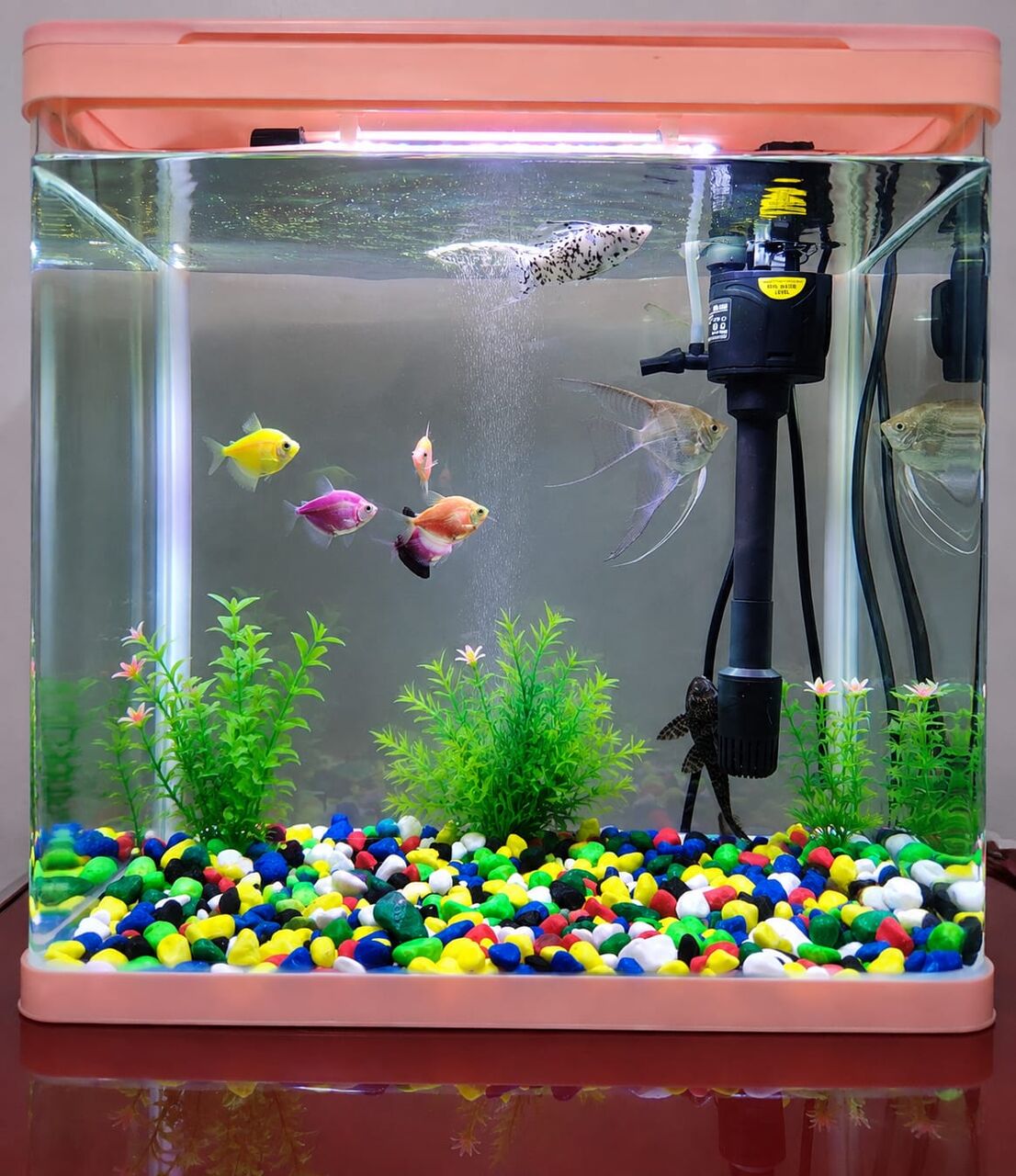 Jeddah, Pet Supplies, SAR 300,  Aquarium For Sale