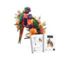 AUD 55,  Lorikeet Pair - Puzzle Art Australia - Rainbow Lorikeet Puzzle