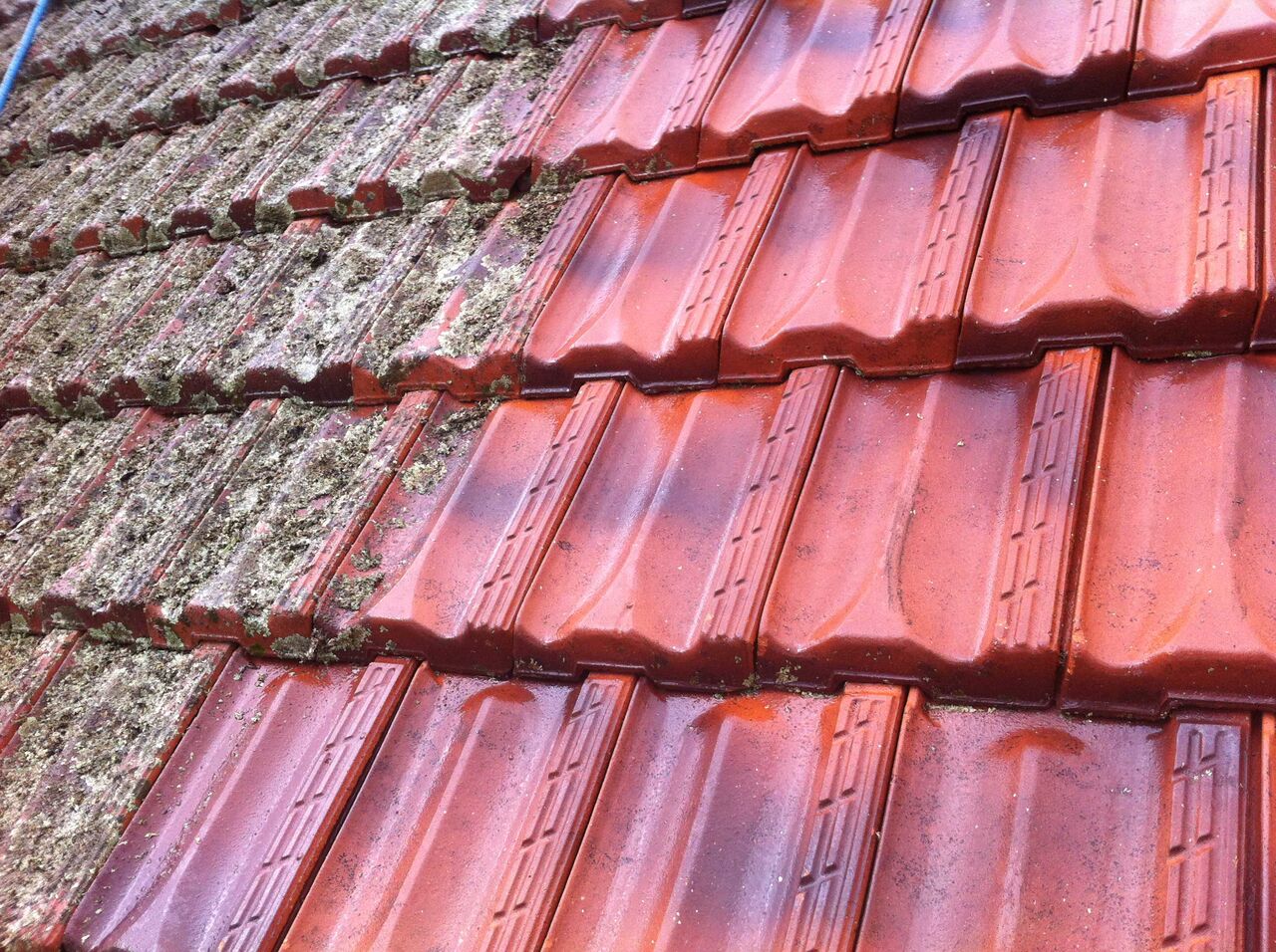 Sydney, Business, Need Adelaide Roof Repairs? Get Expert Roofing Today