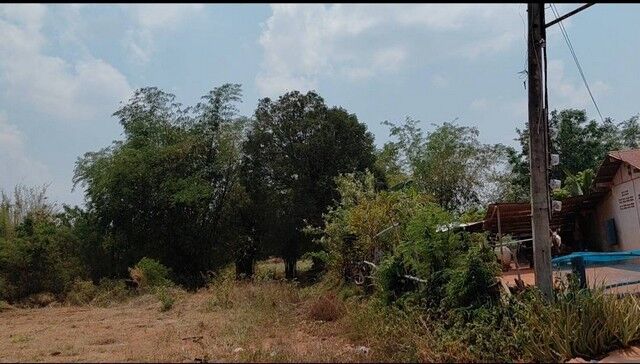 Bangkok, Real Estate For Sale, THB 190000,  6 BR,  7800 Sq. Feet,  Please Leave Good Assets For Consideration. At Sikhio Korat Title Deed High Land Area