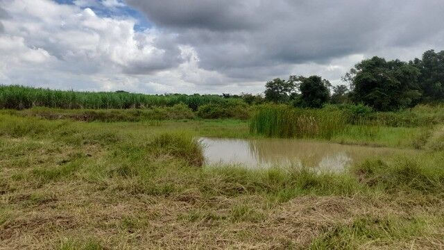 Bangkok, Real Estate For Sale, THB 150000,  6 BR,  12000 Sq. Feet,  Please Leave Good Assets For Consideration. Korat, Highland Area Phra Thongkham Land,