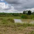 THB 150000,  6 BR,  12000 Sq. Feet,  Please Leave Good Assets For Consideration. Korat, Highland Area Phra Thongkham Land,
