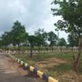 INR 16499,  350 Sq. Yard,  Low Budget Hmda & Rera Approved Plots Near Amazon Data Center