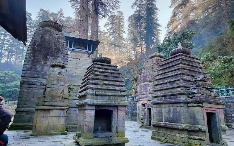 Mumbai, Travel, Uttarakhand Birding Trip | Himalayan Birding