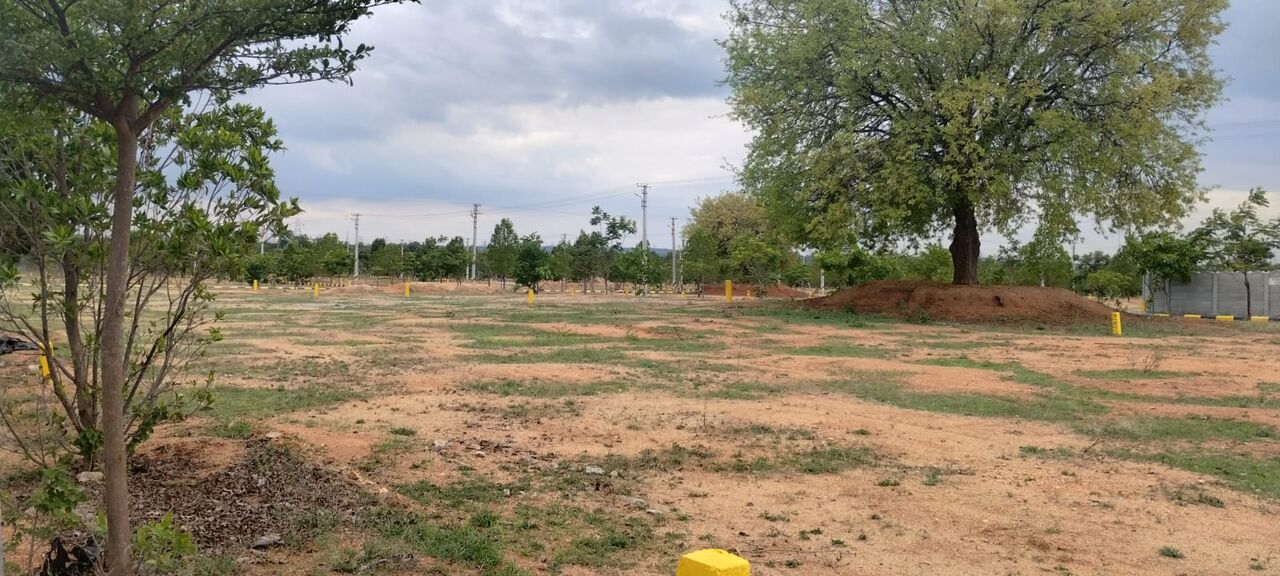 Hyderabad, Residential Plots, INR 16499,  270 Sq. Yard,  330ft Road Proposed 100ft Road Open Plots For Sale Near Skill University